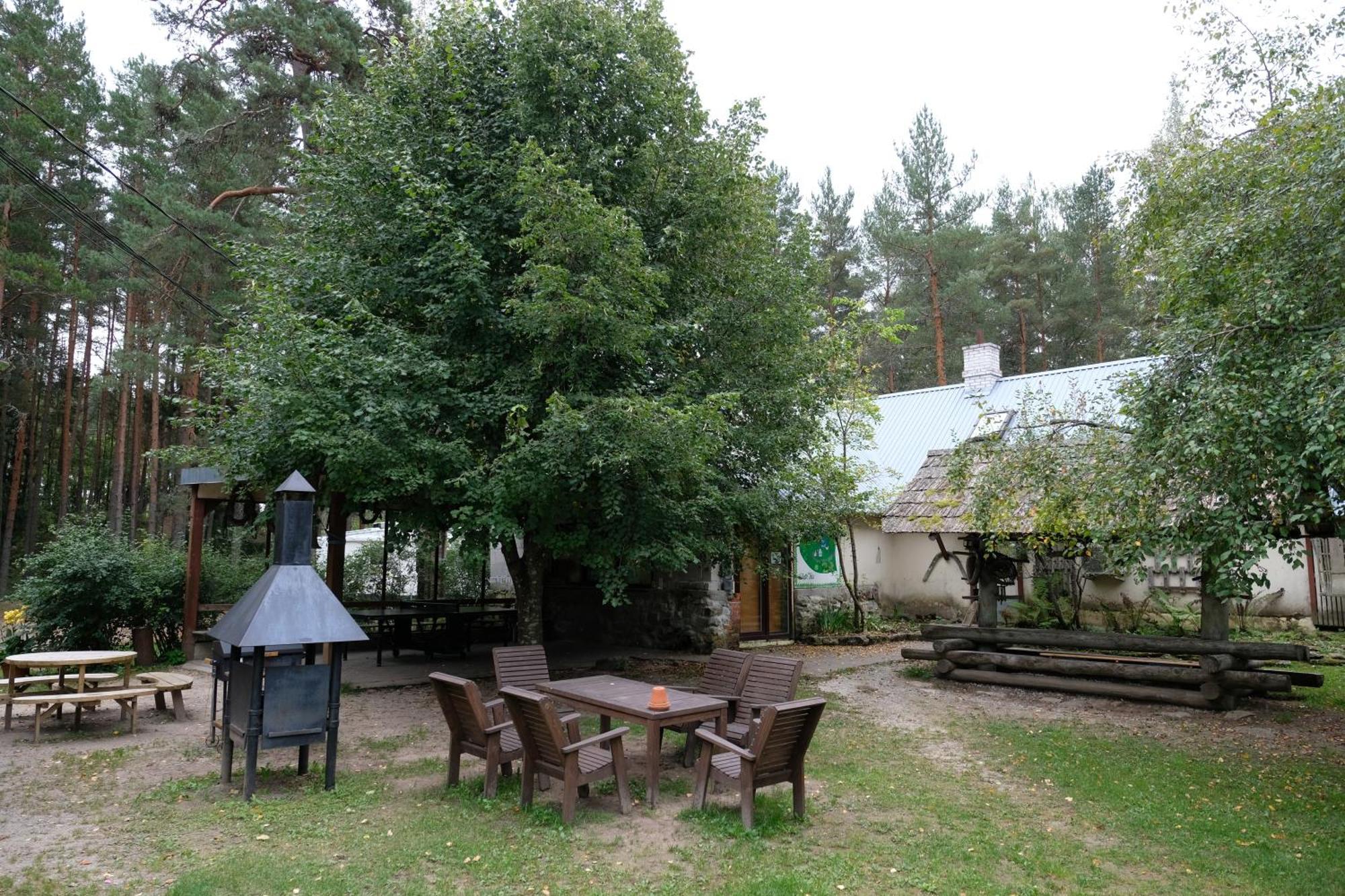 Padise Kallaste Talu- Turismitalu & Holiday Resort מראה חיצוני תמונה